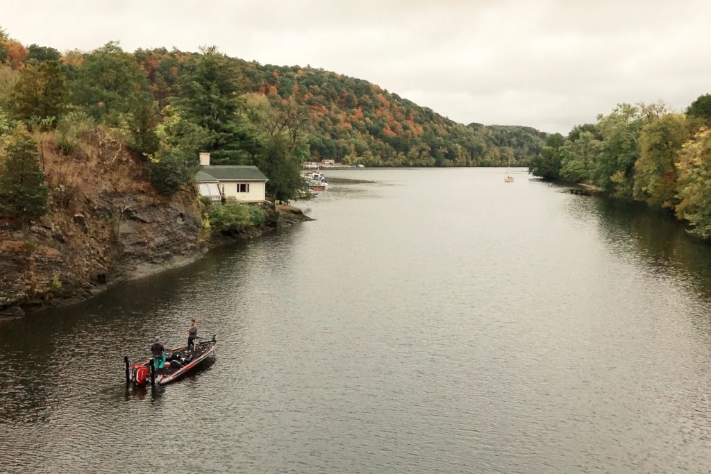 Abeel Street. The Dutch Are Coming Bellender