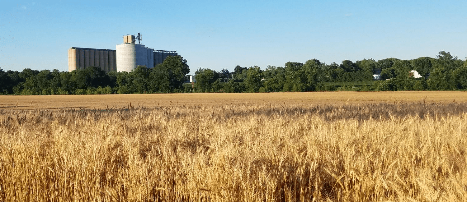 Belle Plaine Chamber of Commerce Come Home To Belle Plaine