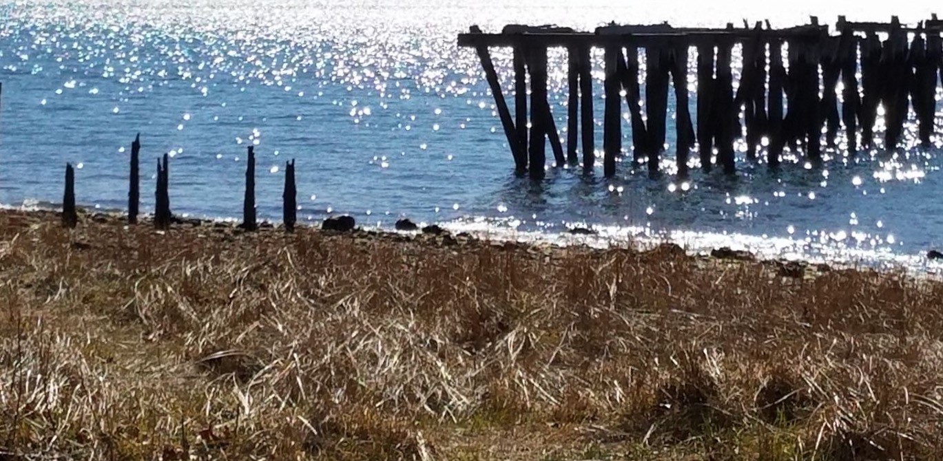 The Village of Belle Terre