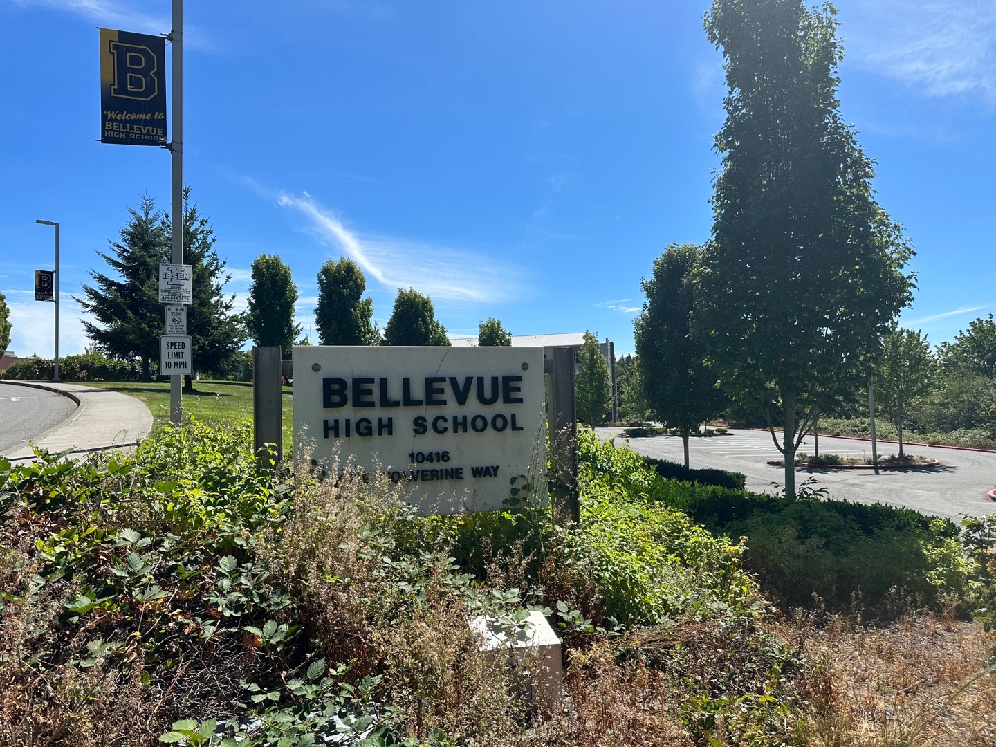 Bellevue High School Bellevue Ann Realty