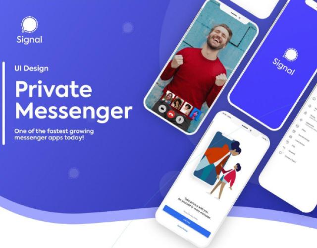 Bellevue Web Designers Wordpress Developer Web Design