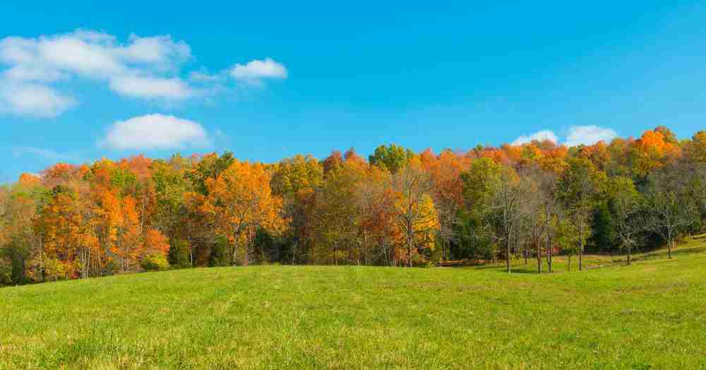 Living in Independence, KY 🏡 Is Moving to Independence Right for You?