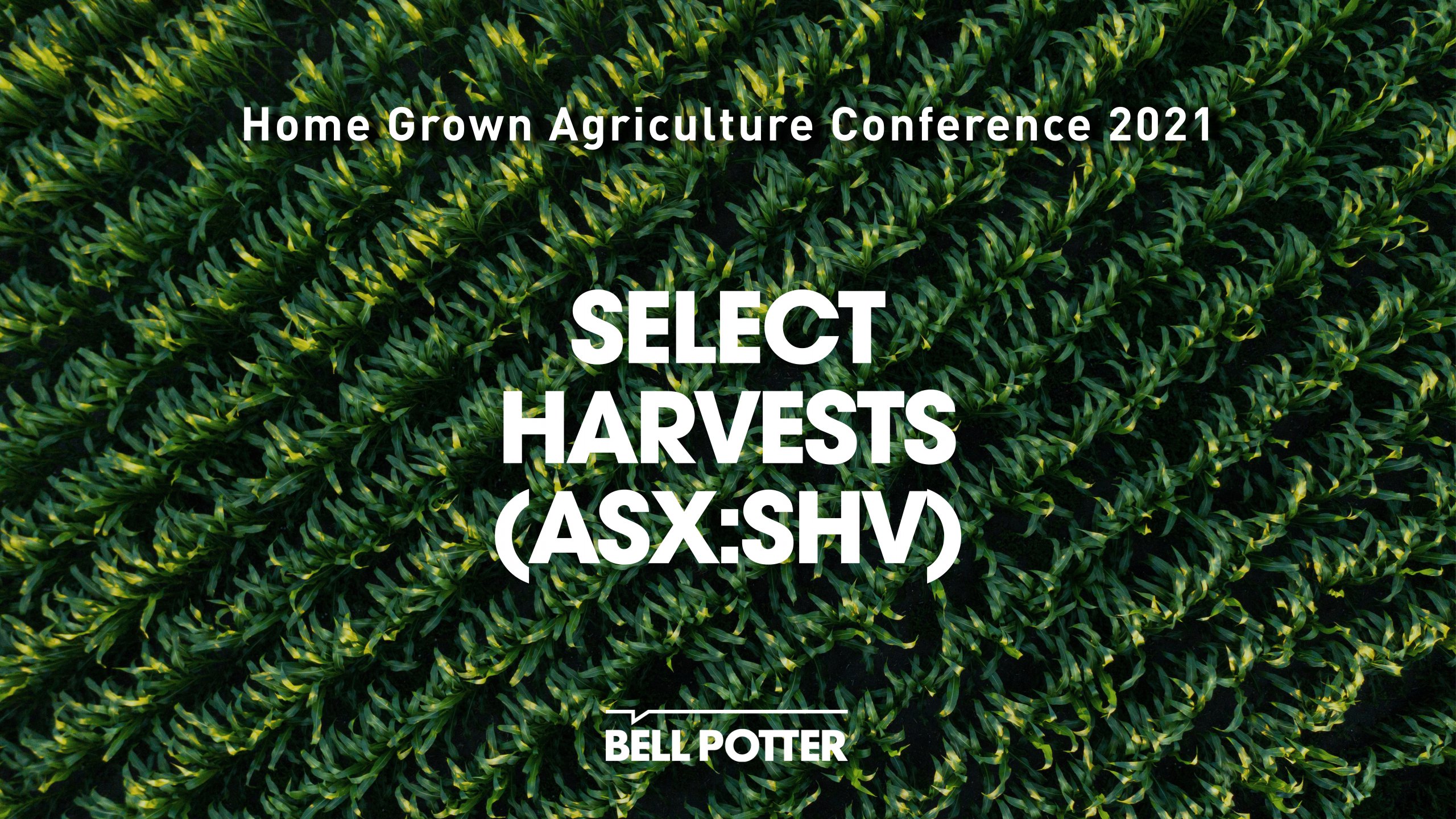 Select harvests Bell Potter