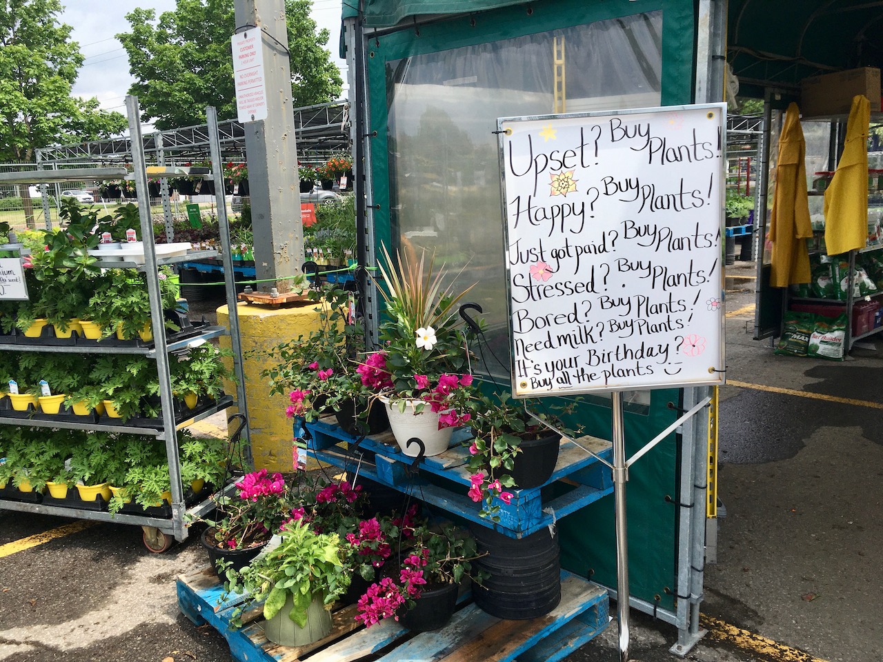 more giveaways, Bells Corners BIA blasted bellscorners