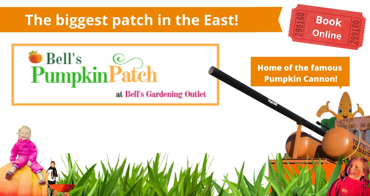 Wholesale Nursery, bedding plants Bell Brothers Nurseries.