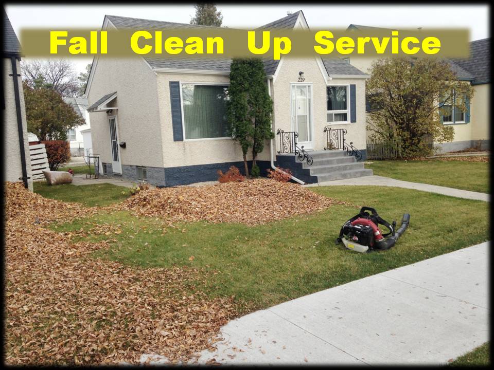 Lawn Aeration Service