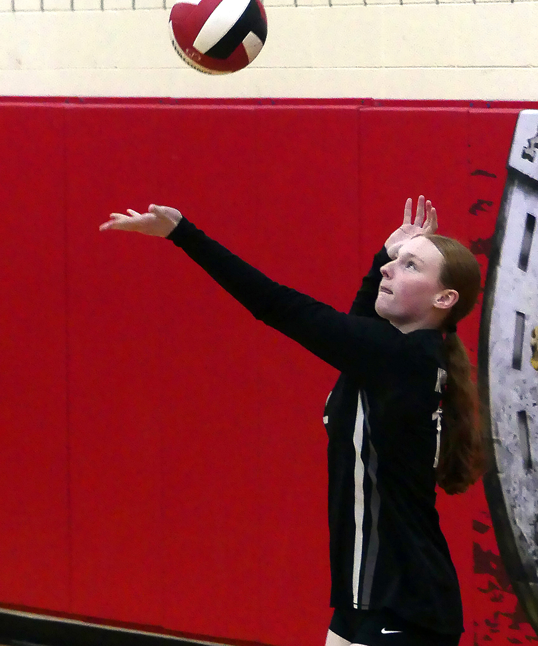 Wolverines’ season ends with tourney loss to AkronWestfield