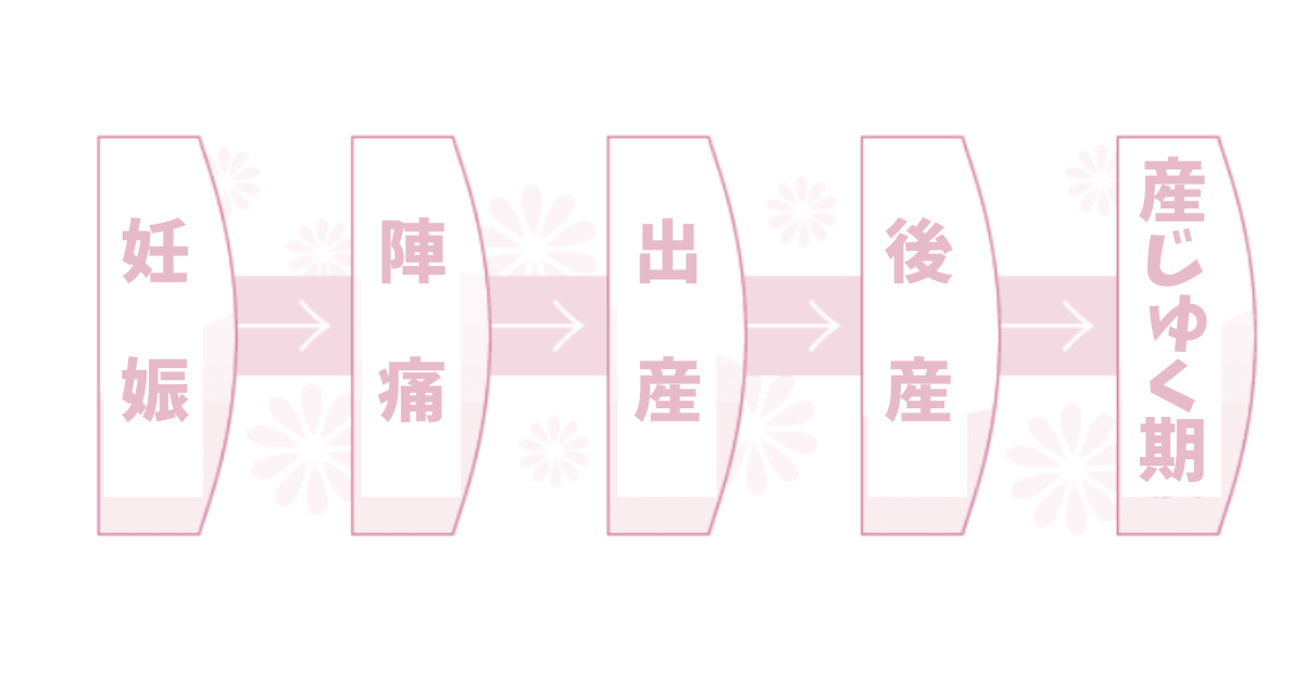 高校保健【2年】～妊娠・出産と健康～高校生はもう子どもの産めるからだです！ ベルツリーの音