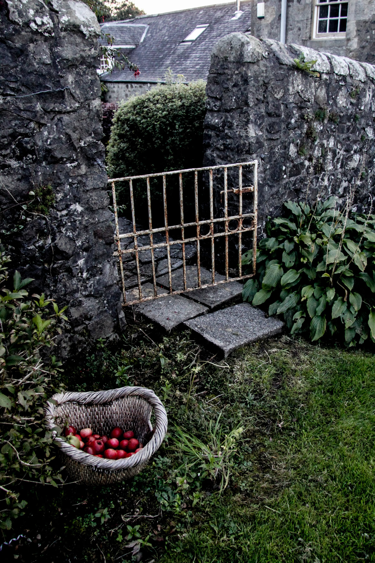 Gallery Newton of Belltrees