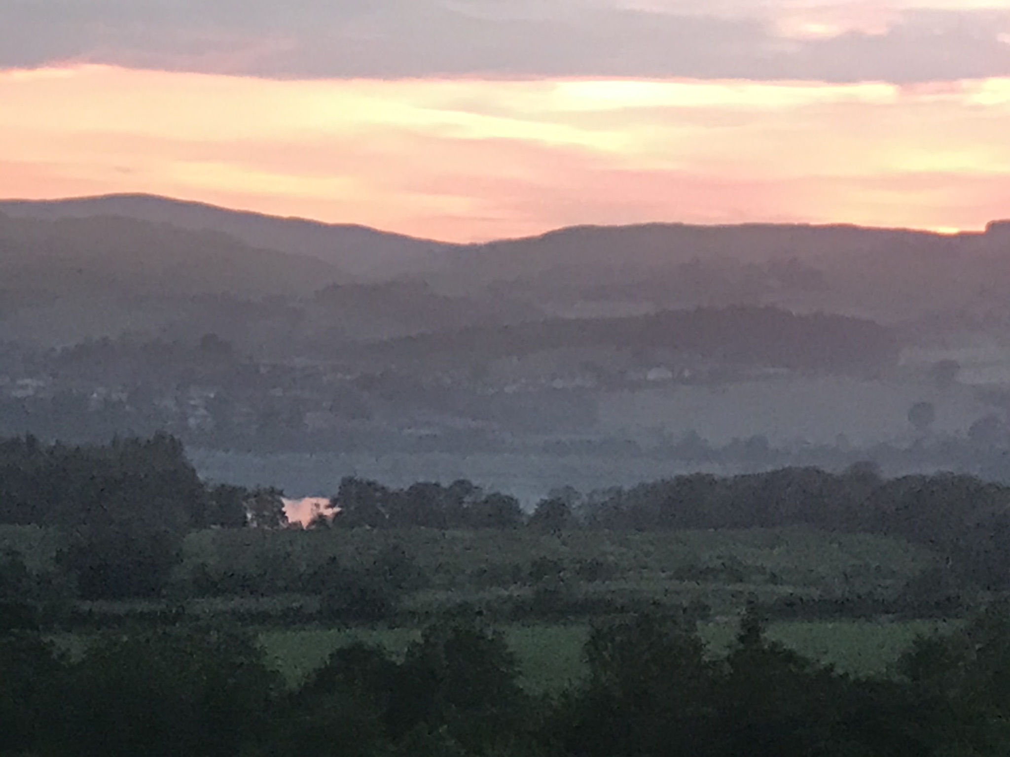 Gallery Newton of Belltrees