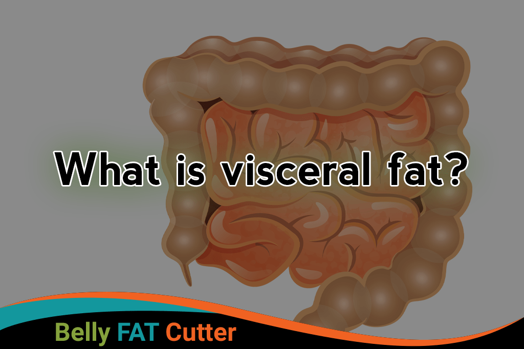 What is visceral fat? How can we eliminate it? Belly Fat Cutter