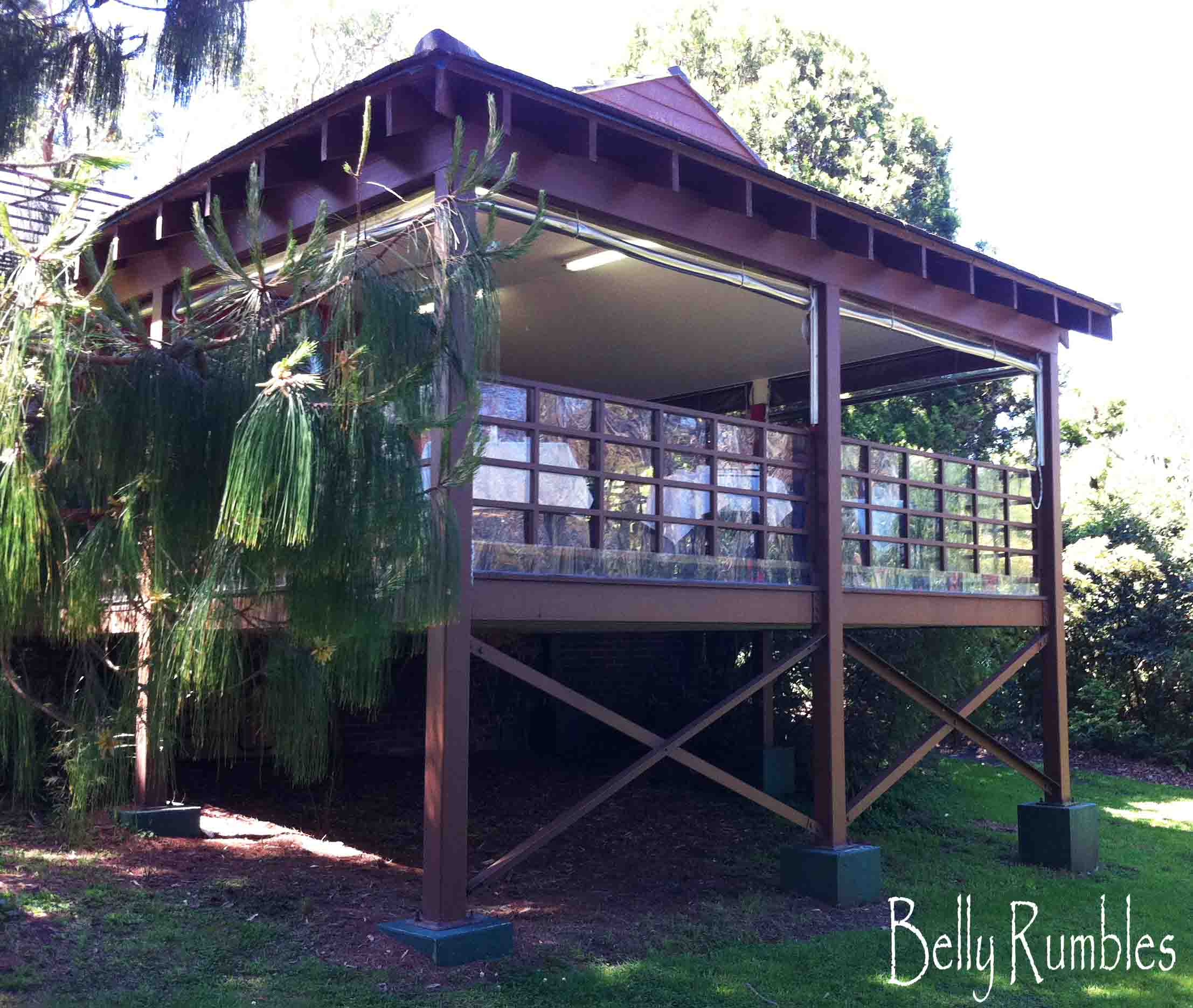 The Teahouse Camellia Gardens Belly Rumbles