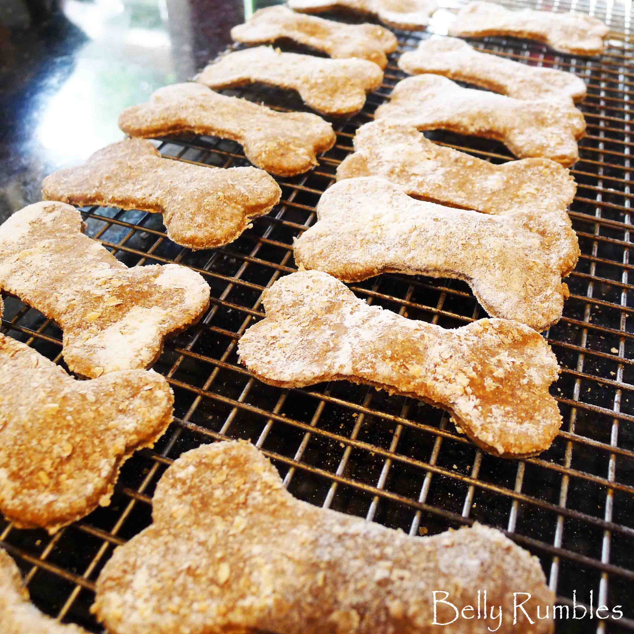 Chicken Liver Cookies Doggo Treatos! Belly Rumbles