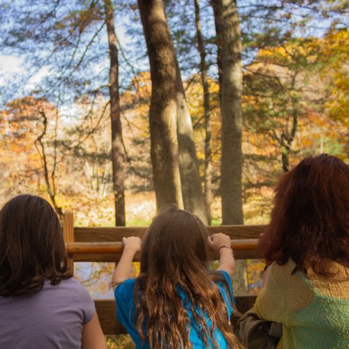 3rd5th Local Outing Camp BASEC