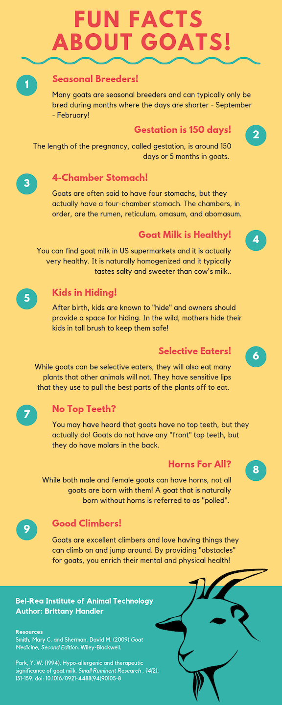 Fun Facts about Goats! BelRea Institute of Animal Technology