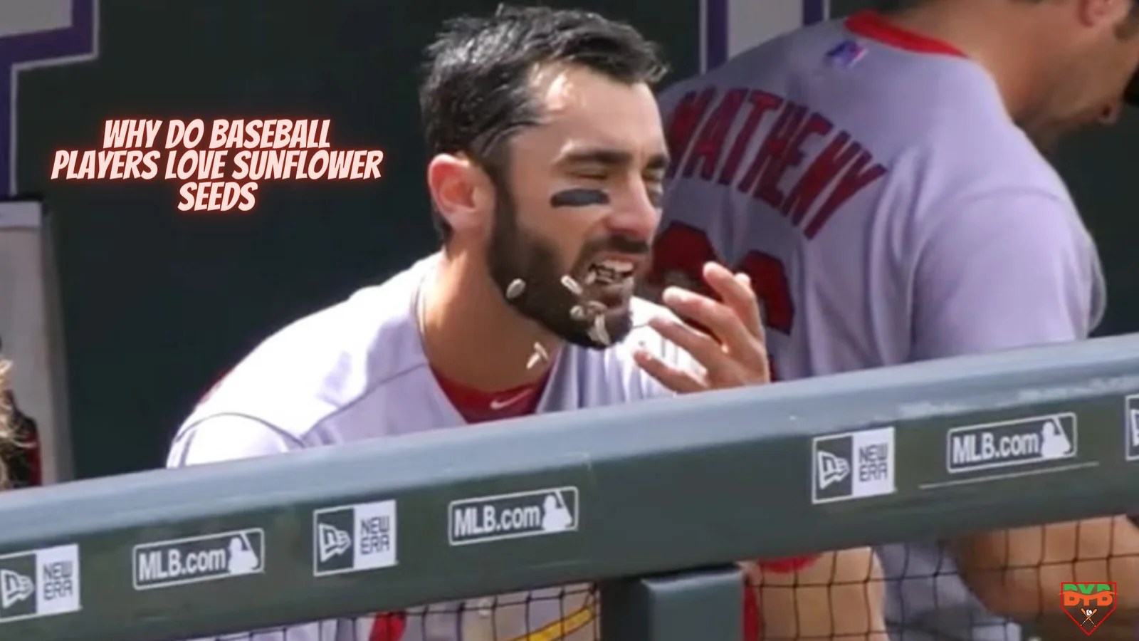 The Secret Snack Uncovering the Reasons Why Baseball Players Love