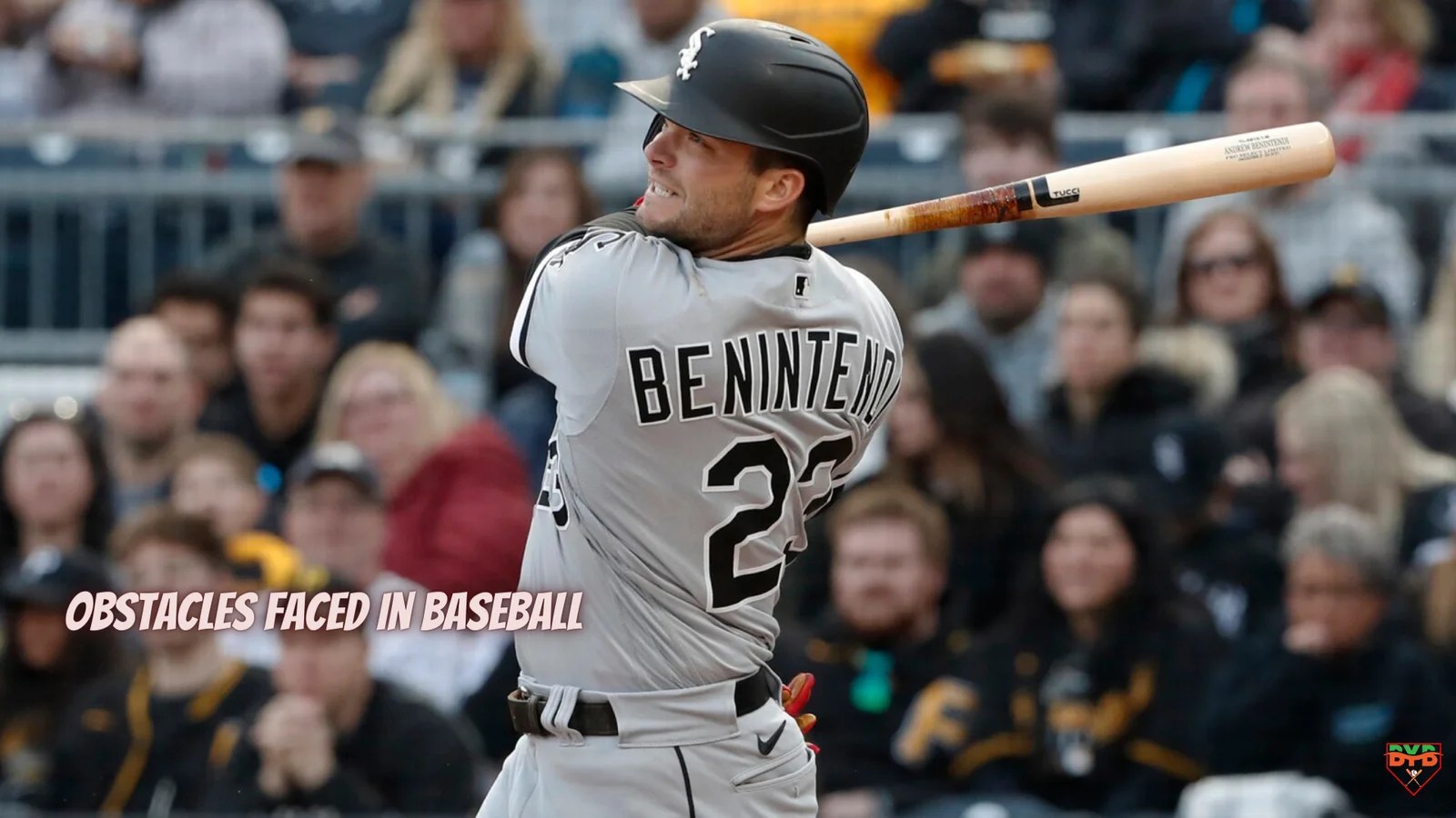 Baseball cards Archives Belvidere Youth Baseball