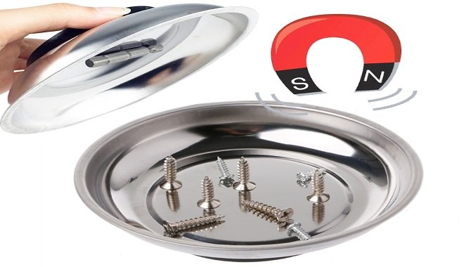 Magnetic Bowl Manufacturer in China - Dailymag
