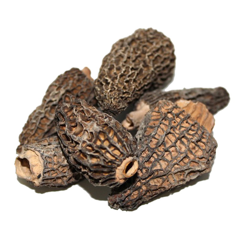 DRIED MORELS LARGE 1 LB Bemka