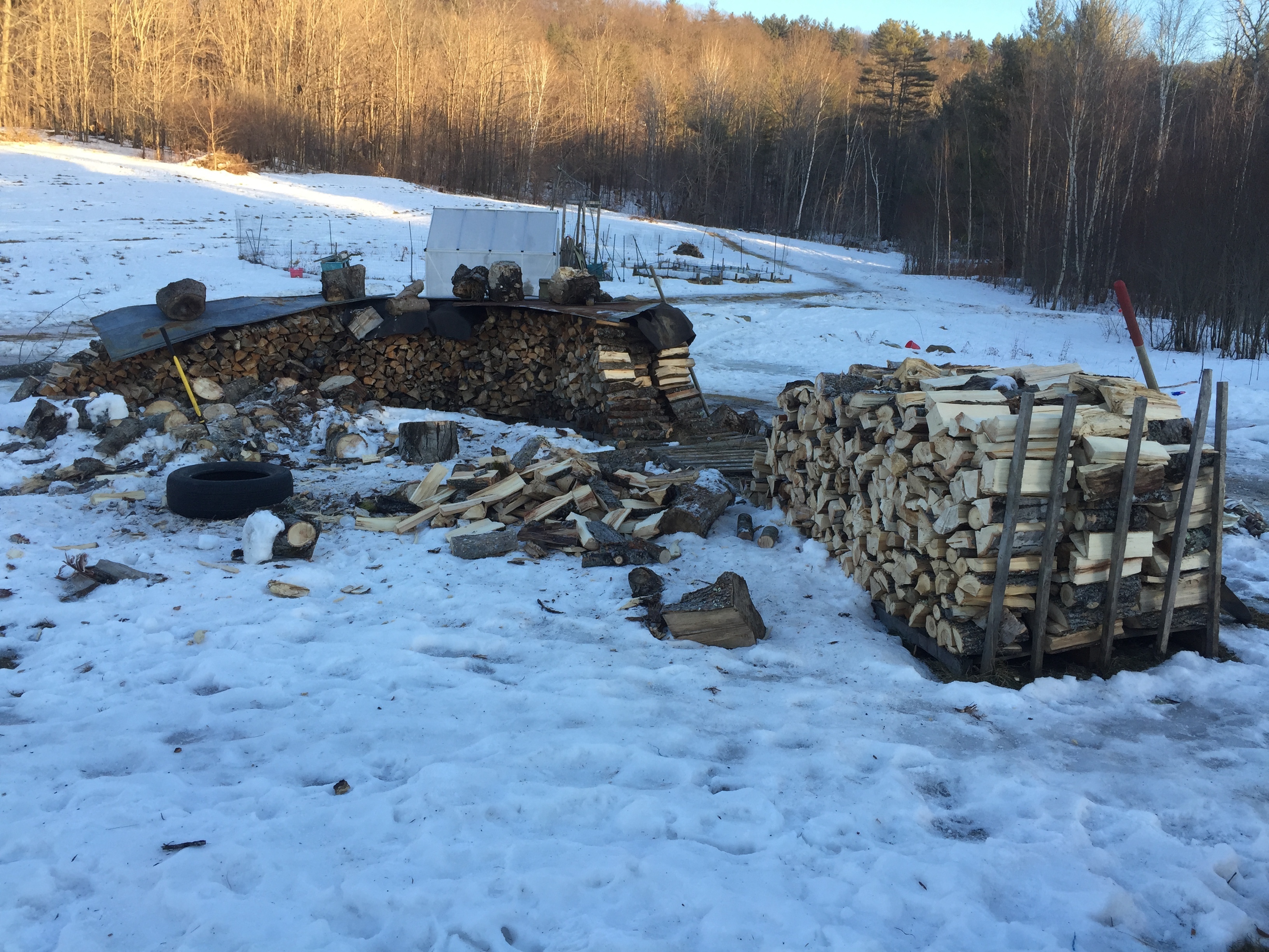 We upgraded our wood splitting setup with an old tire – Ben's blog