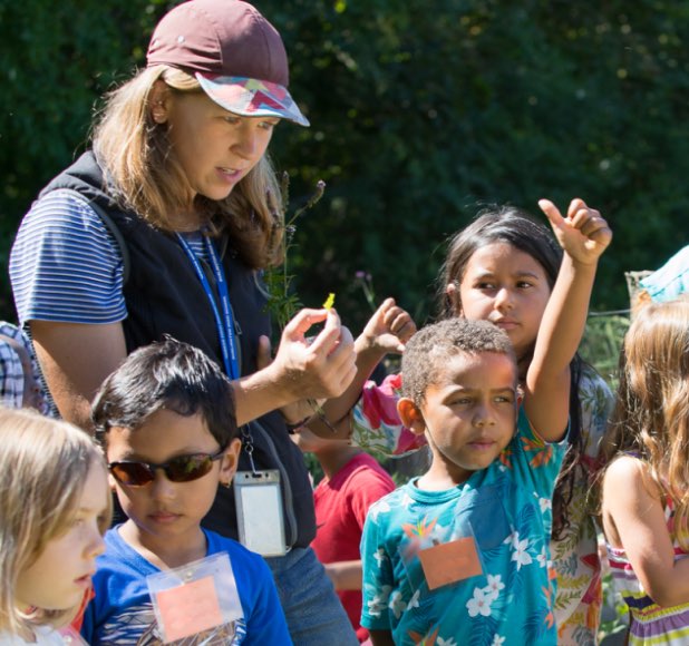 Vermont Grants Ben & Jerry's Foundation