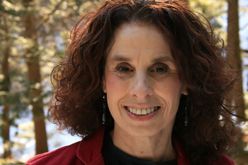 Markel, Dr. Susan BenBella Books