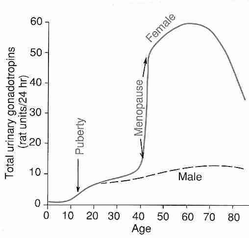 SEX HORMONE REPLACEMENT IN OLDER ADULTS