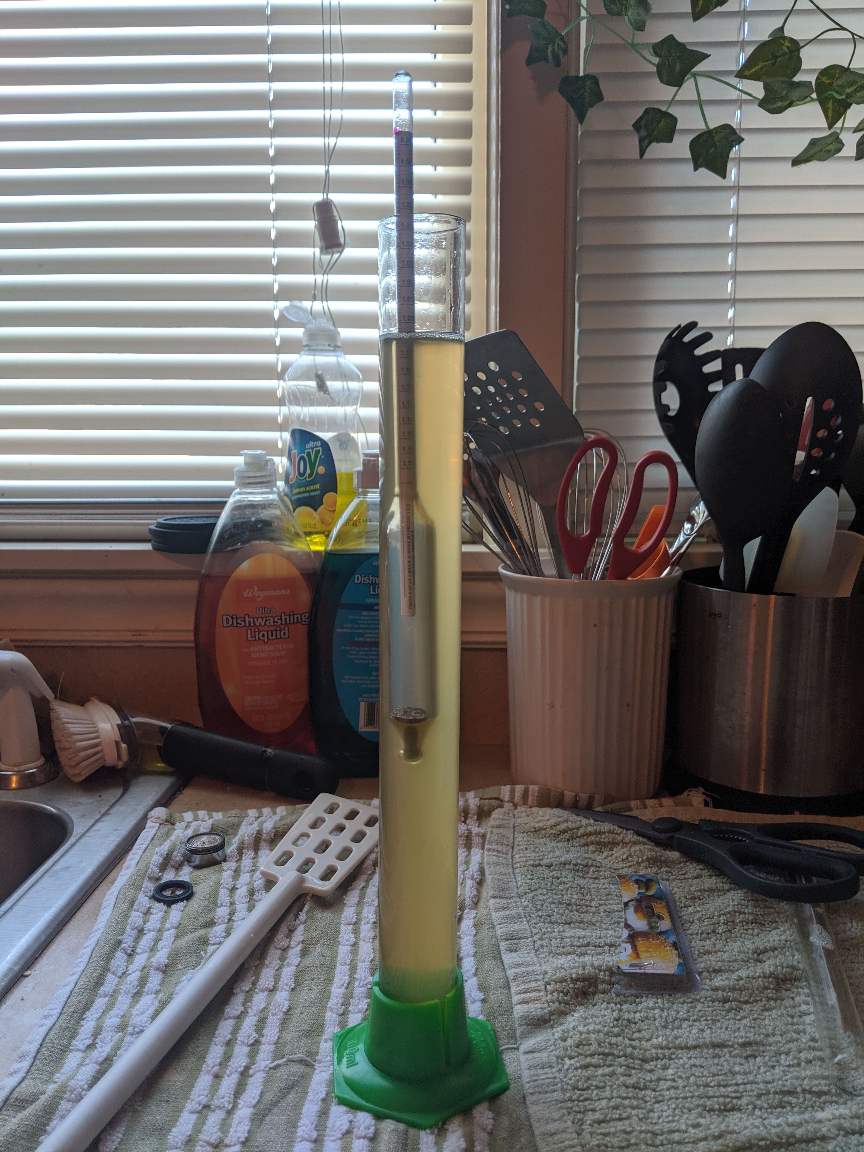 My Homebrewing Equipment