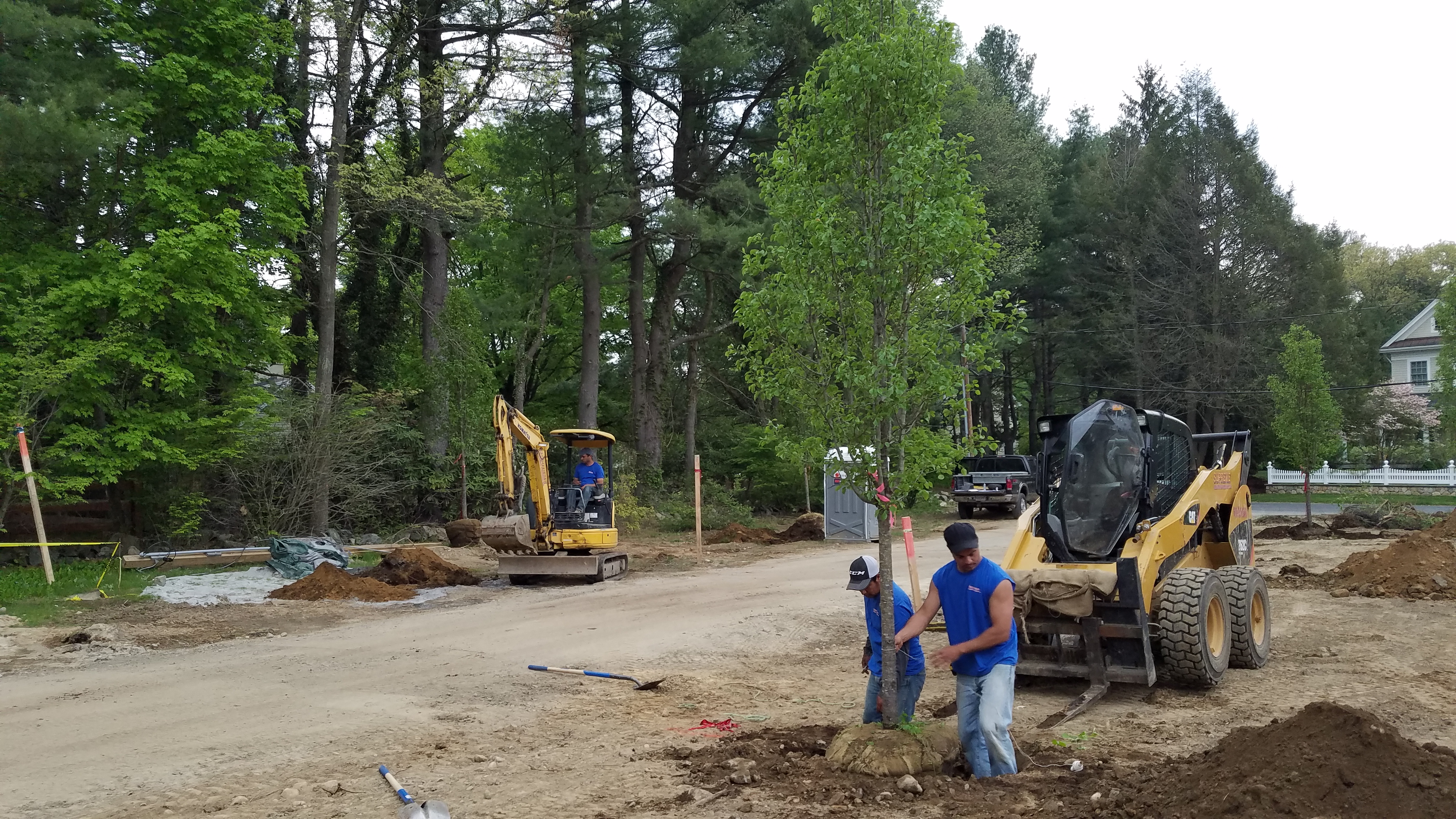 Landscaping & Hardscaping at New Construction in Weston Benchmark