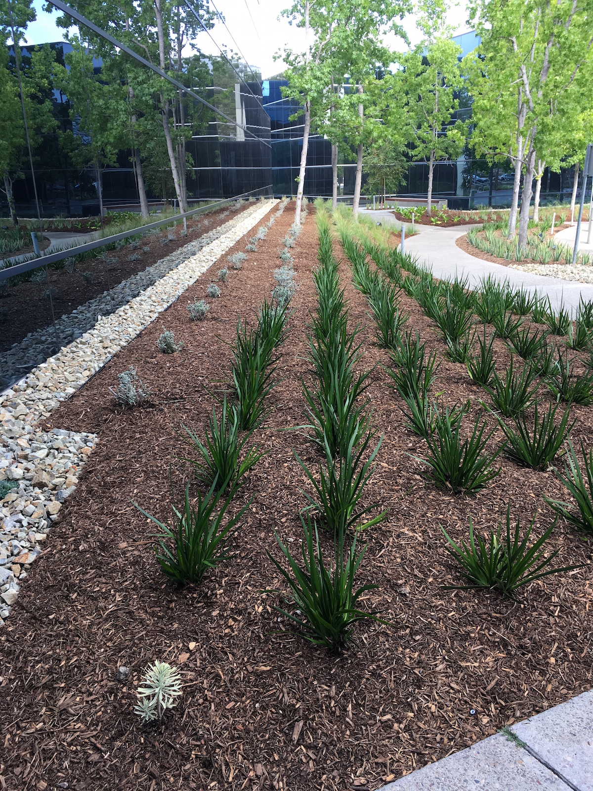 Commercial Maintenance Benchmark LandscapeBenchmark Landscape