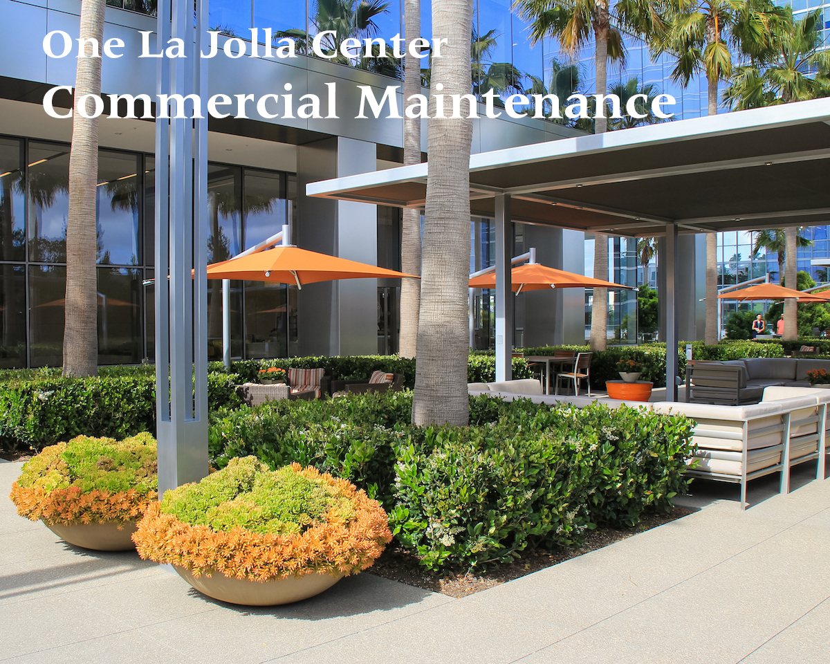 AND THE WINNER IS... Benchmark LandscapeBenchmark Landscape