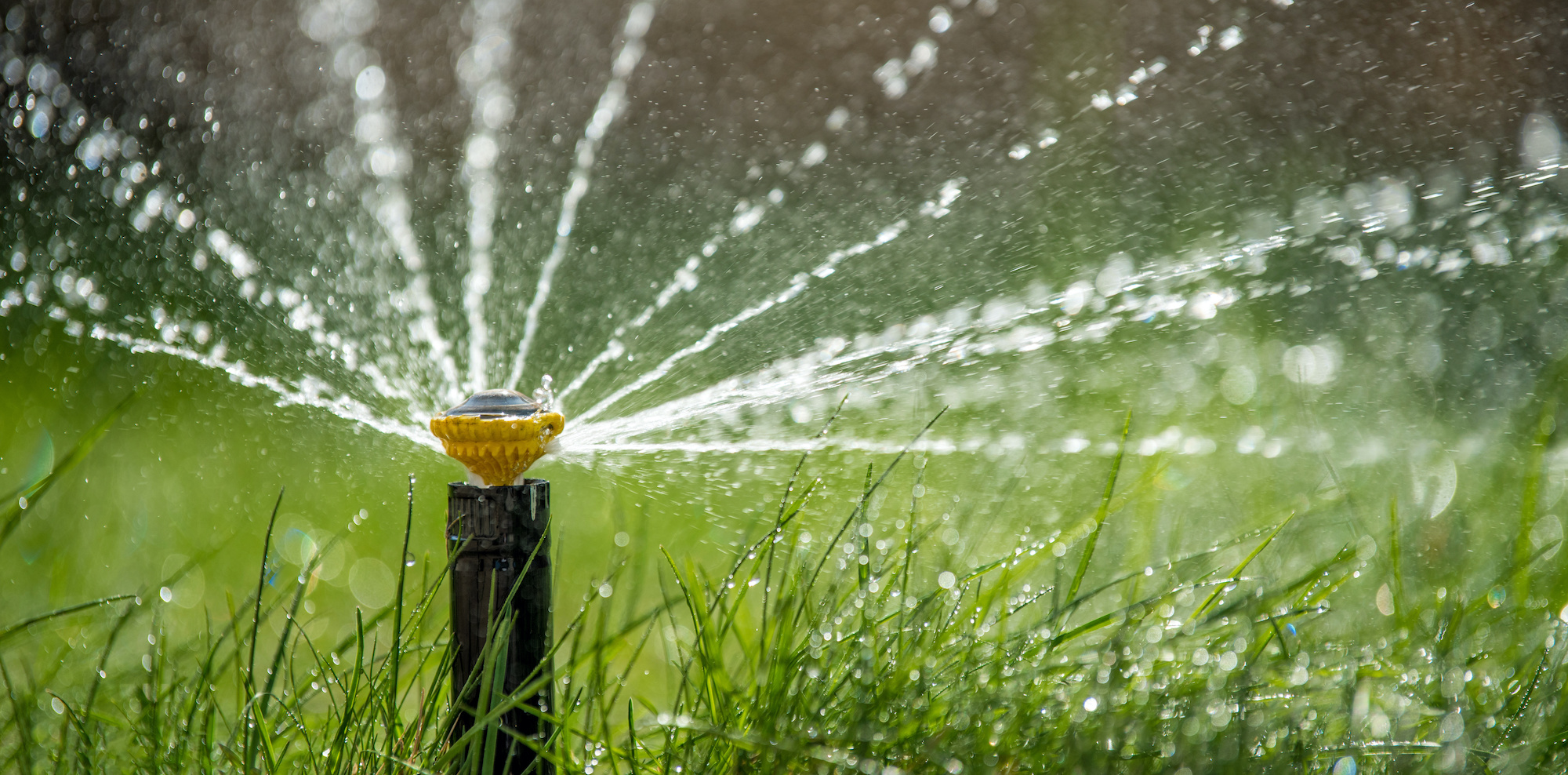 Smart Irrigation The Latest in Irrigation Trends Benchmark