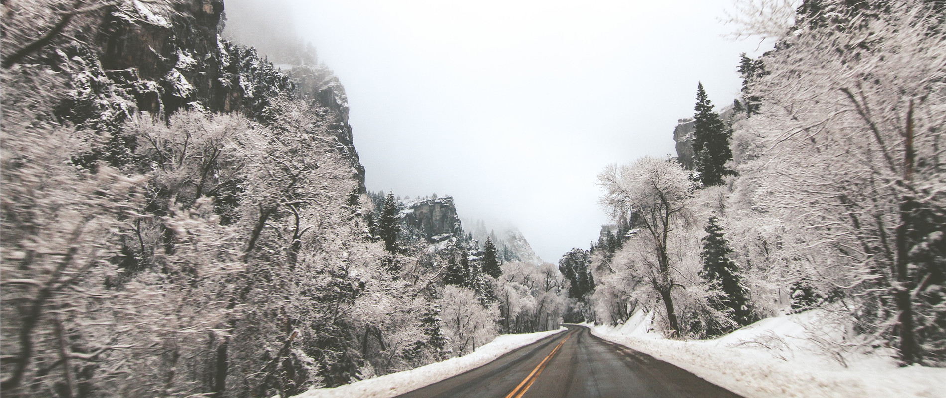 Snow Removal Bench Rentals