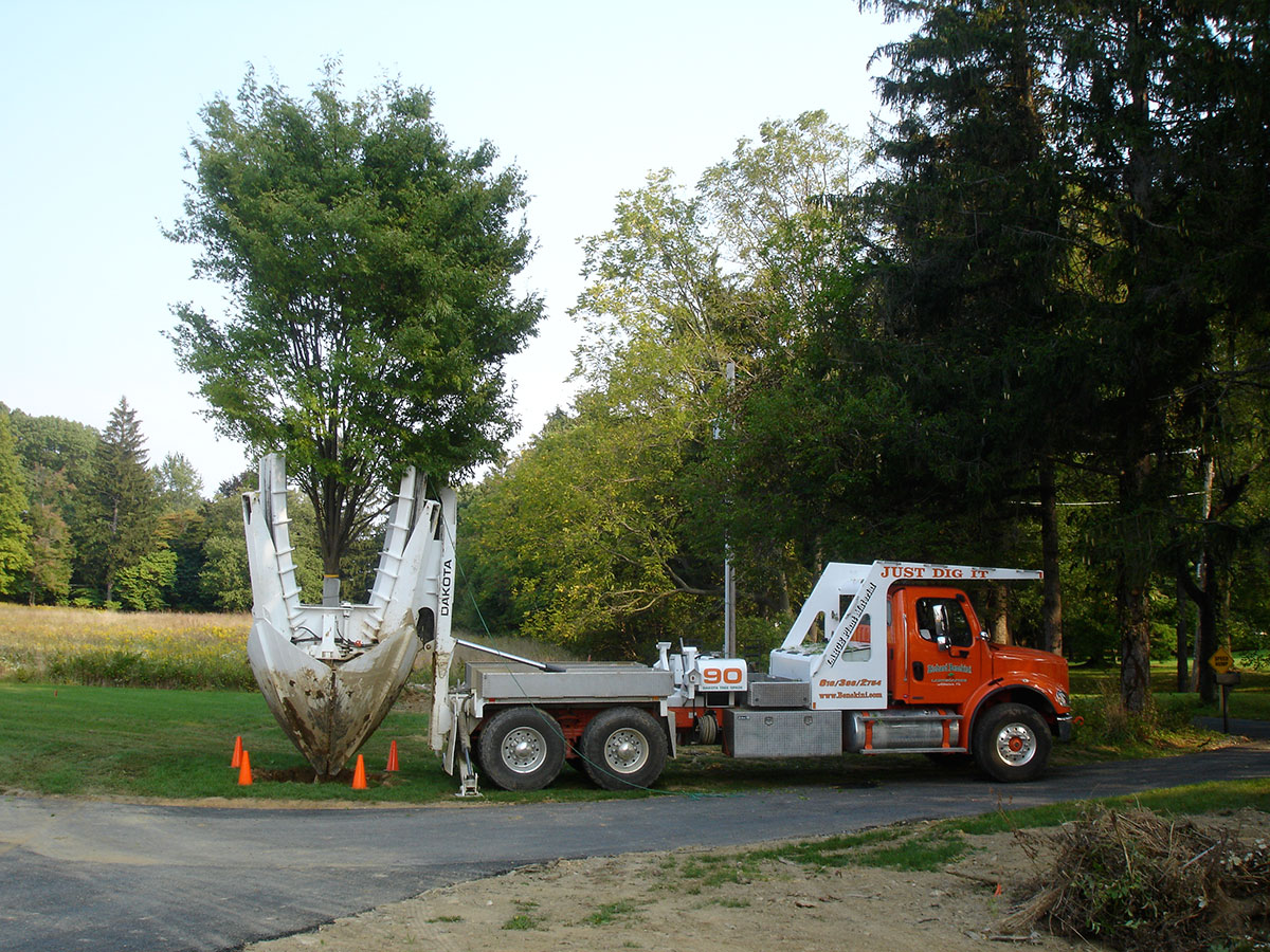 Shrub and Large Tree Transplanting Service Lehigh Valley, Poconos PA