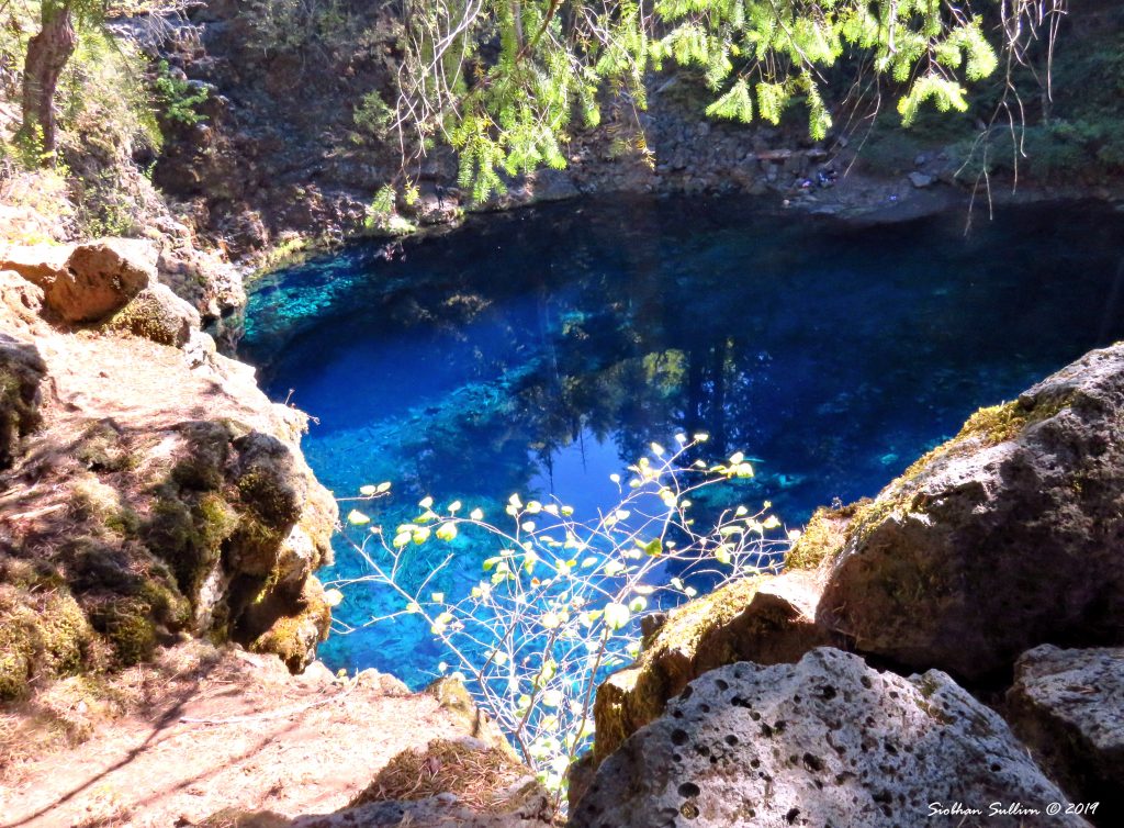 Favorite Rocks in Oregon LAPC bend branches
