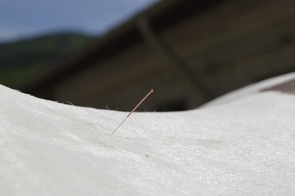 Acupuncture Bend Equine Medical Center
