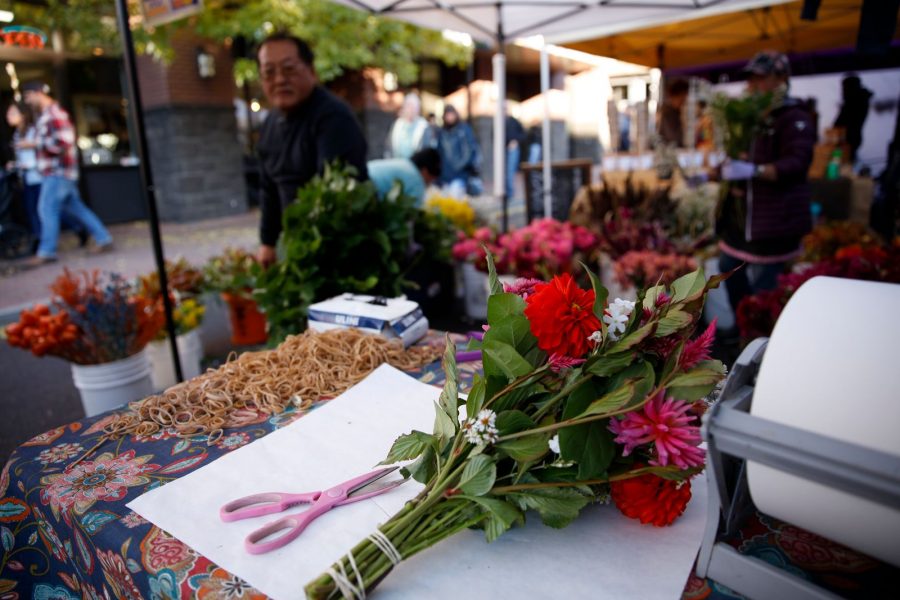 bend summer festival 2023 Bend Summer Festival - Central Oregon's Largest Art Showcase!