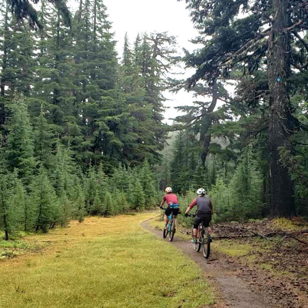 Liv Intrigue 29 Rental » Bend Trails Gear