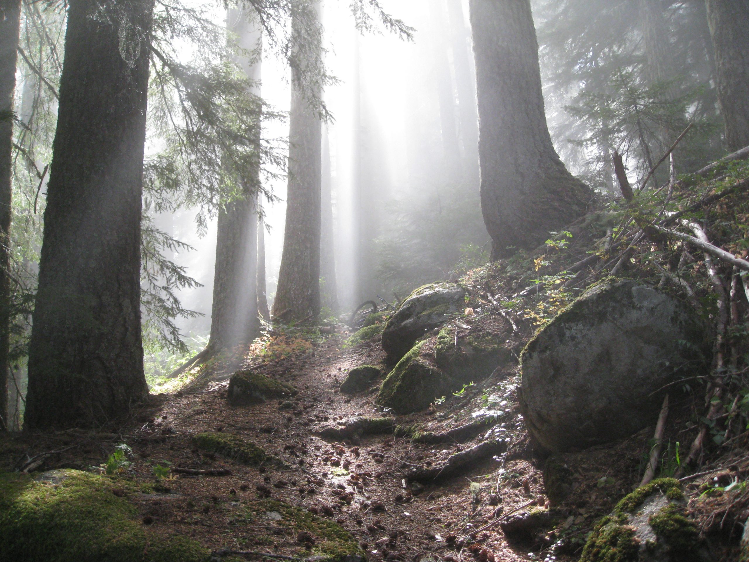 Gordon Lakes Trail » BendTrails