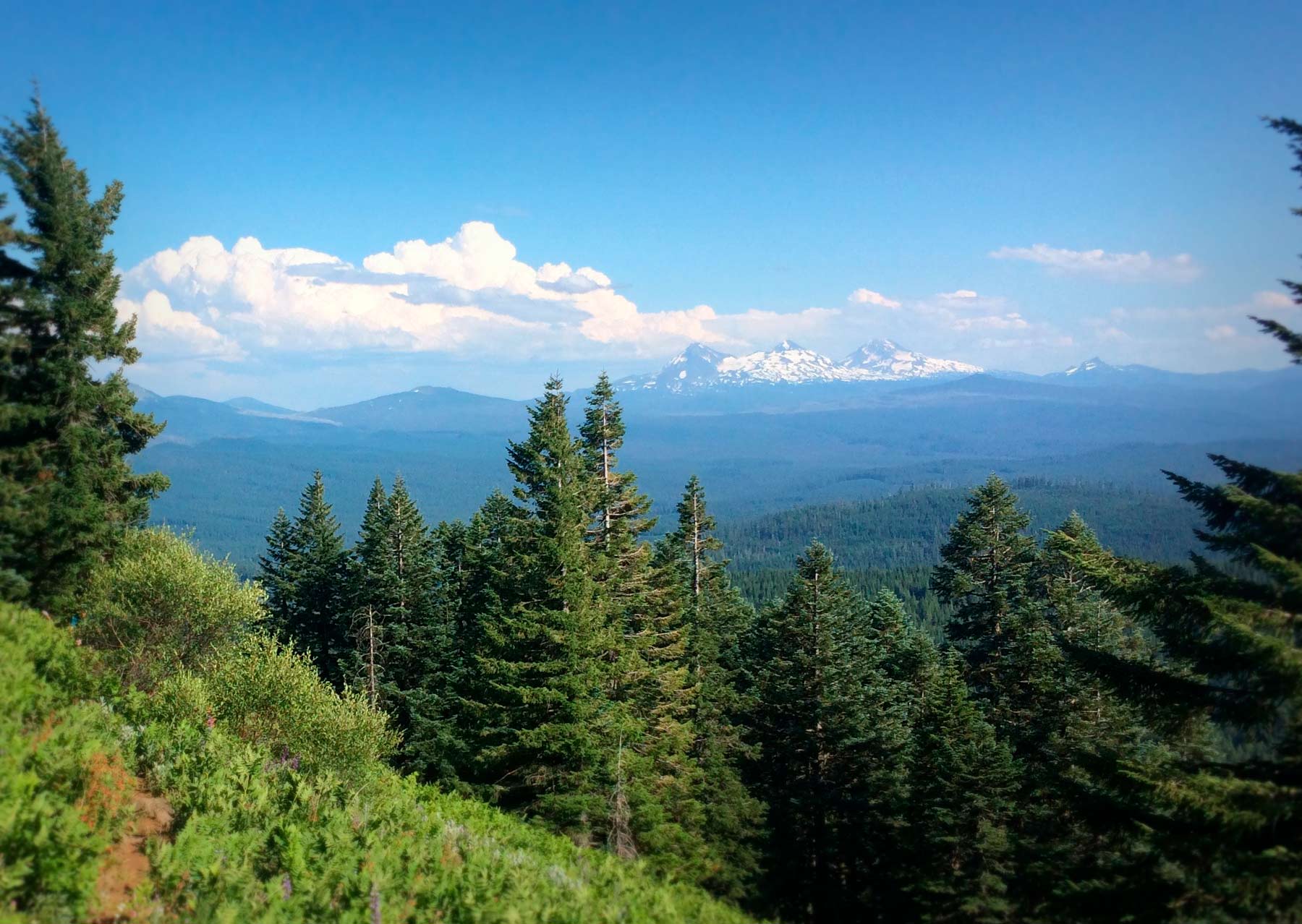 Discover the Cascade Crest Bend Trails