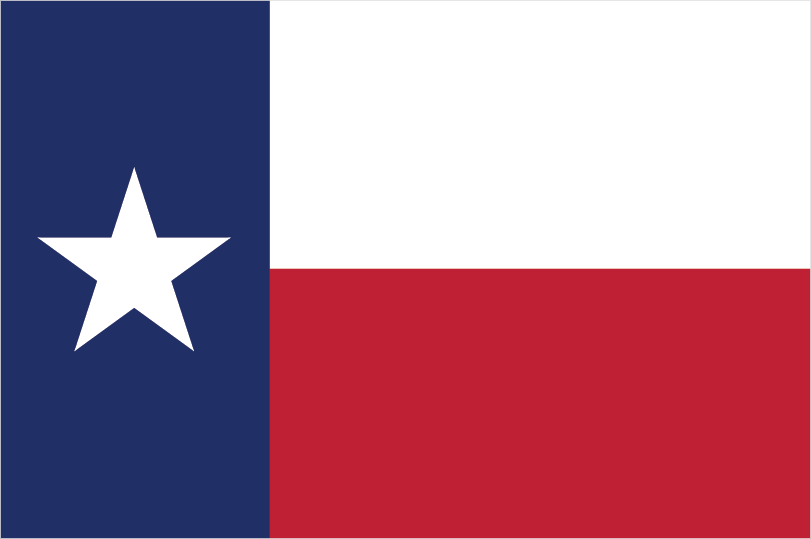 Texas Medicaid
