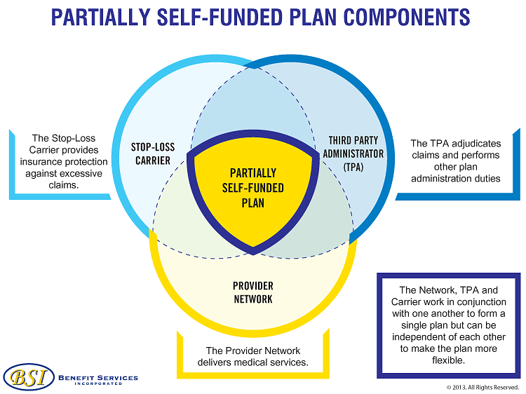 Partially SelfFunded ERISA Medical Plans Benefit Services Incorporated