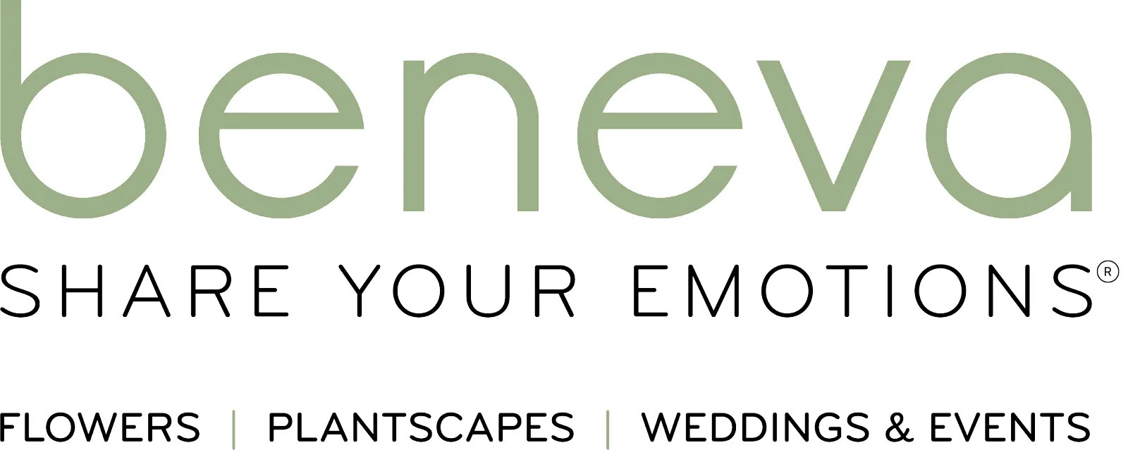 Sarasota, FL SameDay Flower Delivery Beneva of Brandon & Sarasota