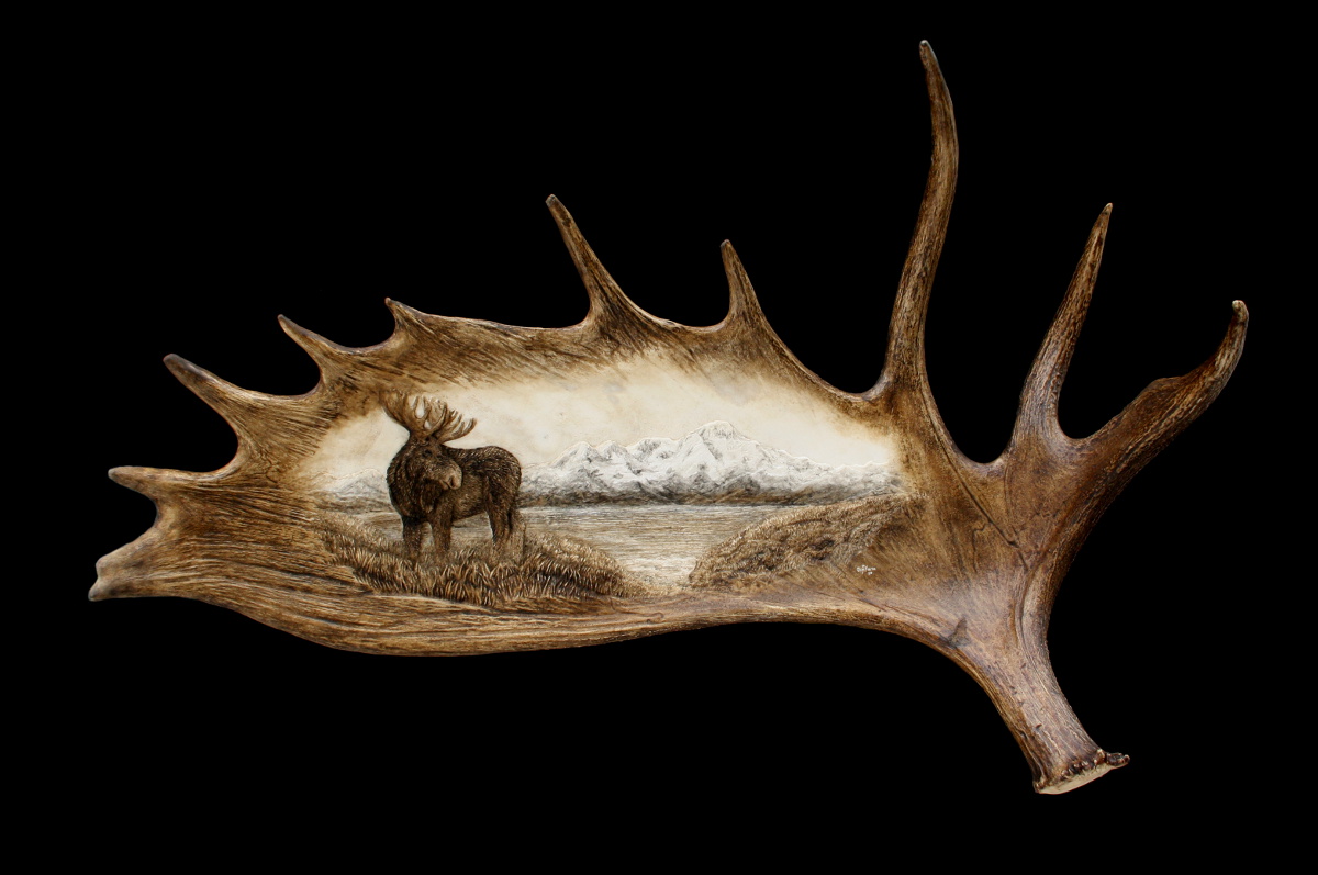 Antler Carvings by Ben Firth in 2021 Antler art, Moose antlers, Cool art