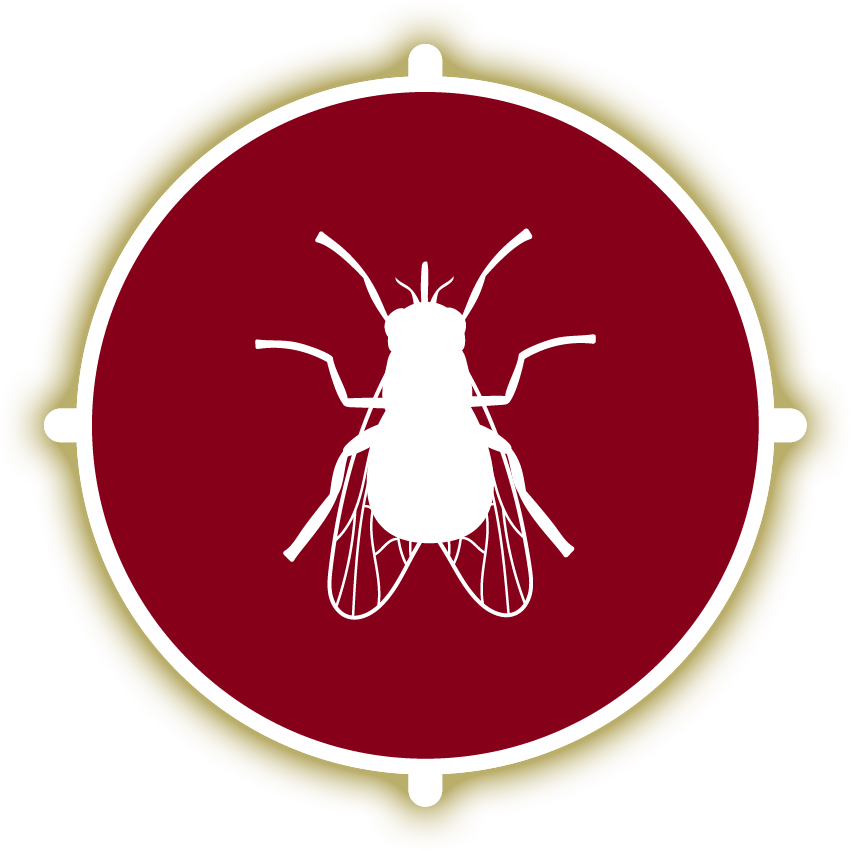 Bengal Pest Control Protection for the whole family