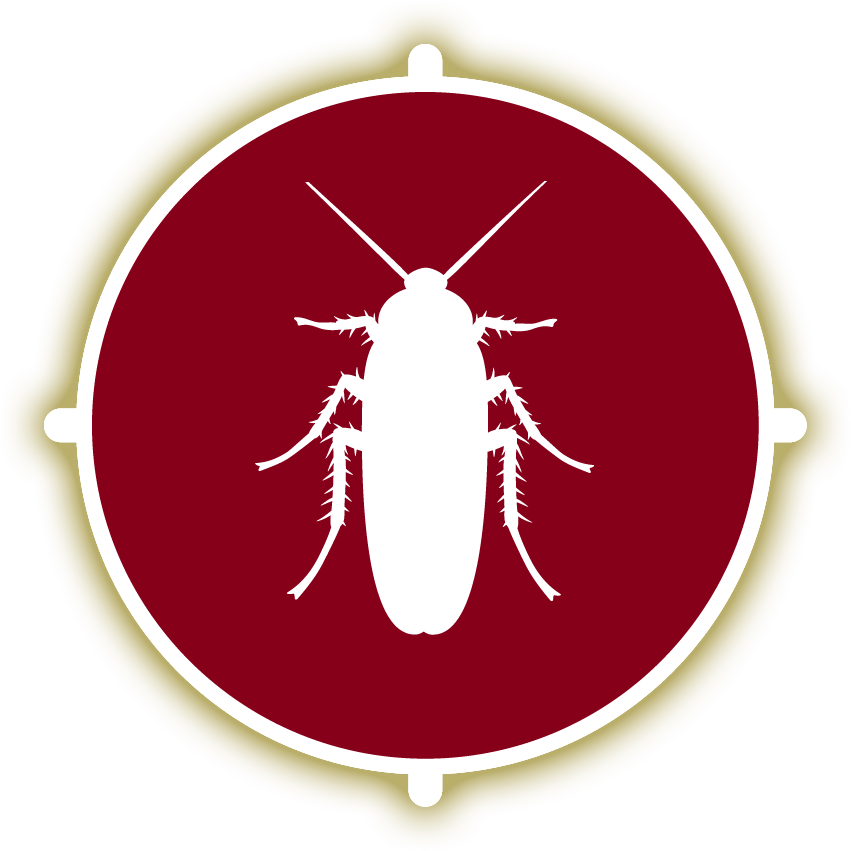 Bengal Pest Control Protection for the whole family