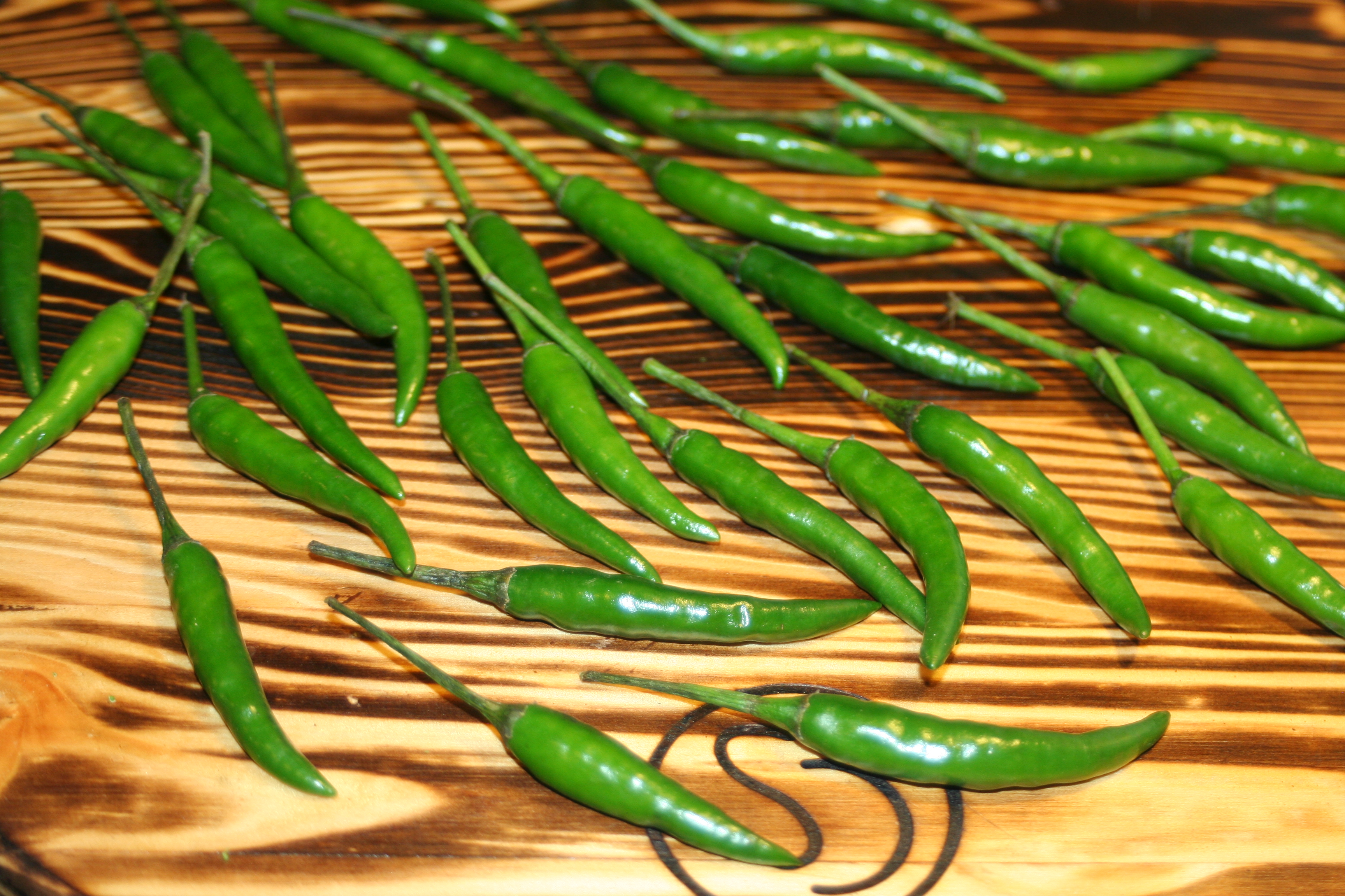 SPICES Bengali Kitchen Recipes