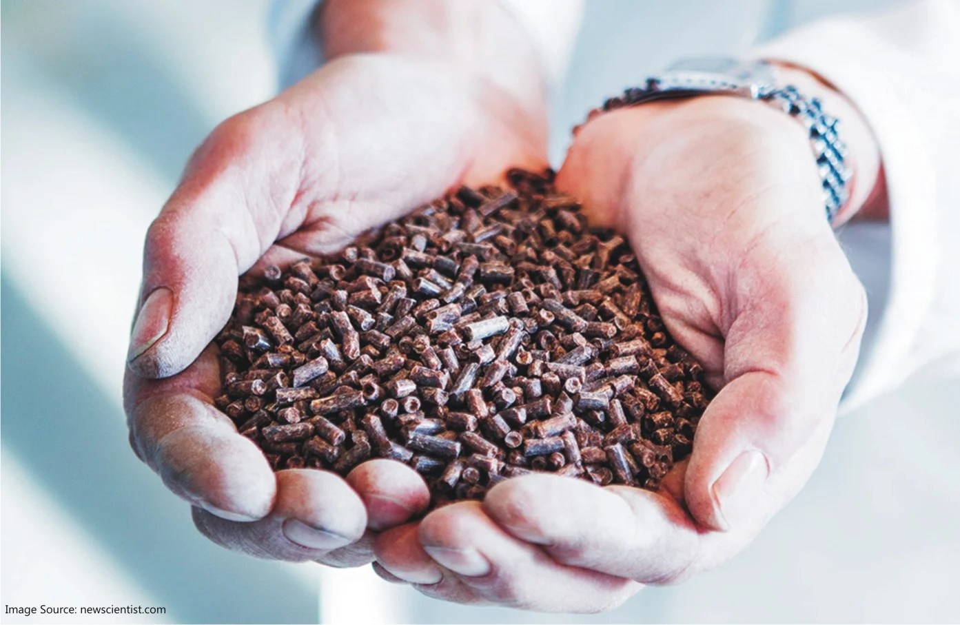 Natural gas proteinan alternative to fishmeal and soymeal Benison Media