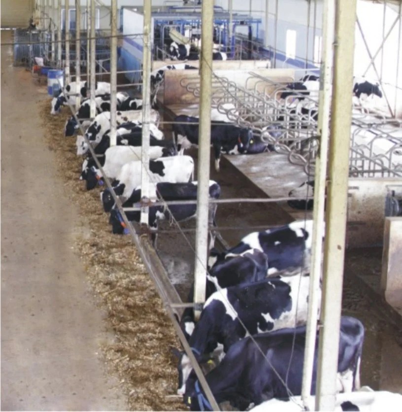 New cattle feed plant by Amul in WB Benison Media