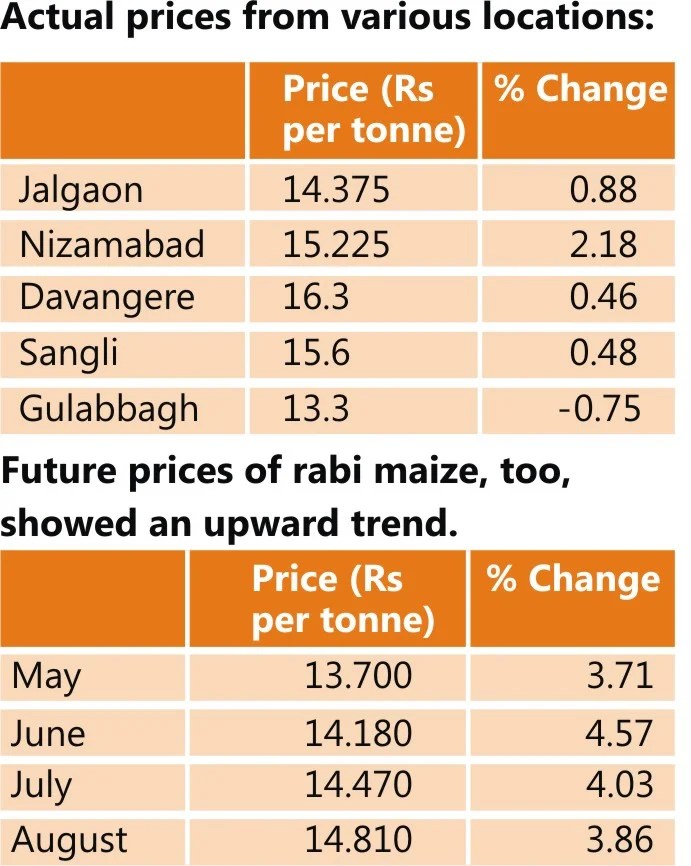 Maize arrivals start in India while prices remain firm Benison Media
